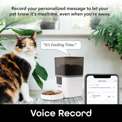 Comedero Automático para Perros 6L – Control por App WiFi y Grabación de Voz